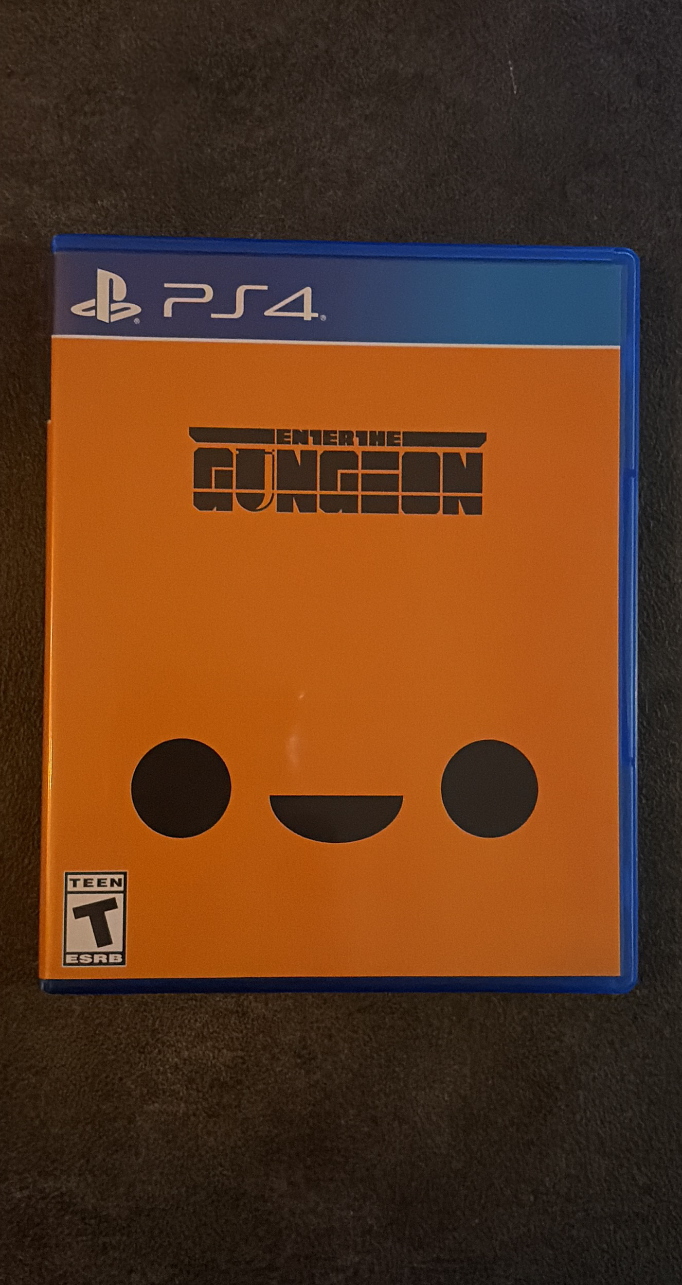 Enter the Gungeon